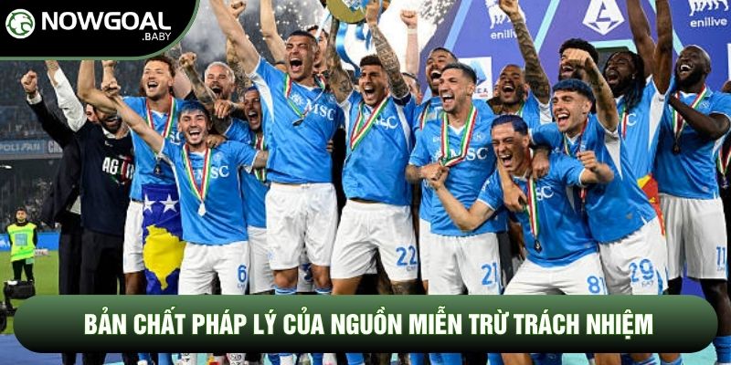 Bản chất pháp lý của nguồn miễn trừ trách nhiệm