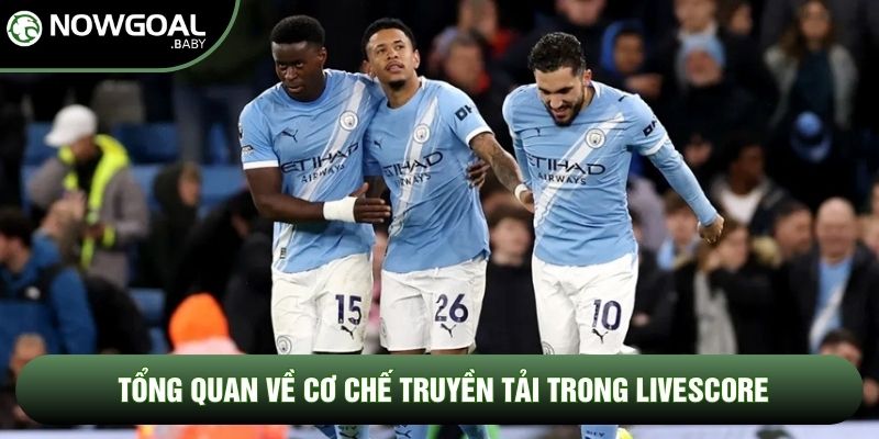 Tổng quan về cơ chế truyền tải trong Livescore